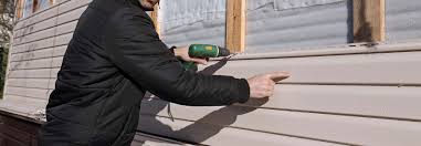 Best Siding Painting and Refinishing  in Bonadelle Ranchos, CA